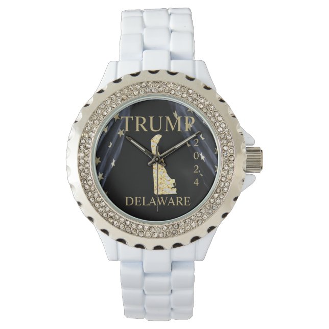 DELAWARE  腕時計 (正面)