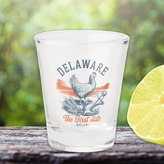 Delaware First State Vintage Shot Glass ショットグラス