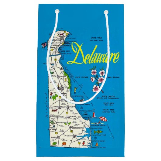 Delaware Map Small Gift Bag スモールペーパーバッグ (正面)