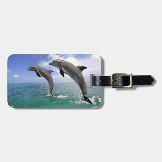 Delfin ラゲッジタグ (正面横)