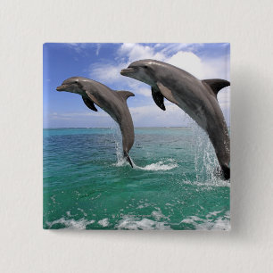 Delfin 缶バッジ