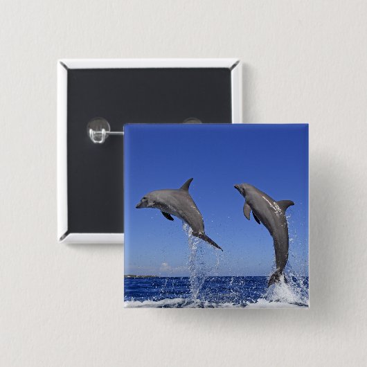 Delfin 2 缶バッジ (正面&裏面)