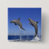 Delfin 2 缶バッジ (正面)