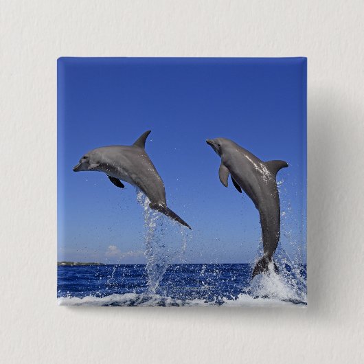 Delfin 2 缶バッジ (正面)