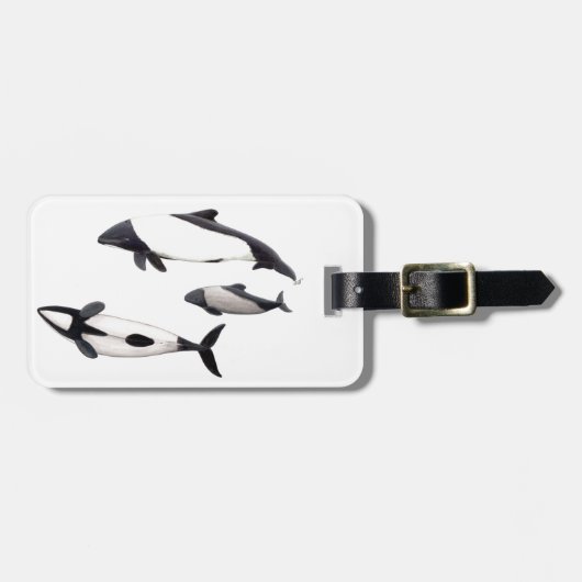 Delfin de Commerson ラゲッジタグ (正面横)
