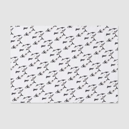 Delfin de Commerson 薄葉紙 (正面)