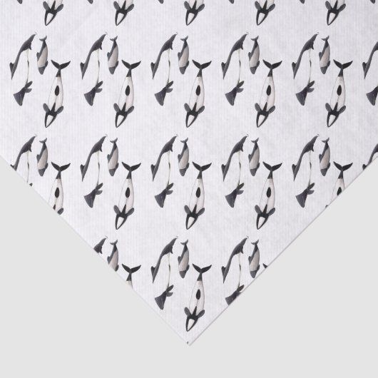 Delfin de Commerson 薄葉紙 (詳細)