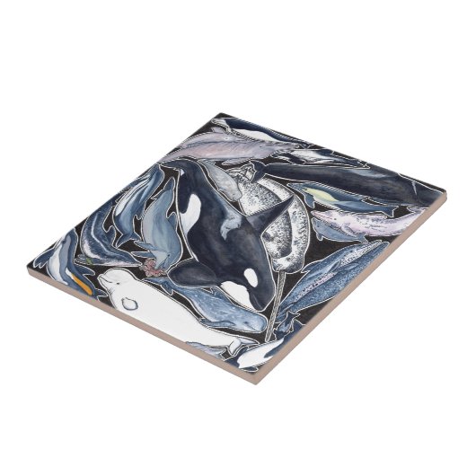 Delfines, orcas, belugas y narvales タイル (側面)