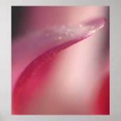 Delicate ポスター (正面)