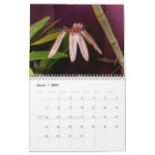Delicate and Exotic Orchids カレンダー (3月 2027)
