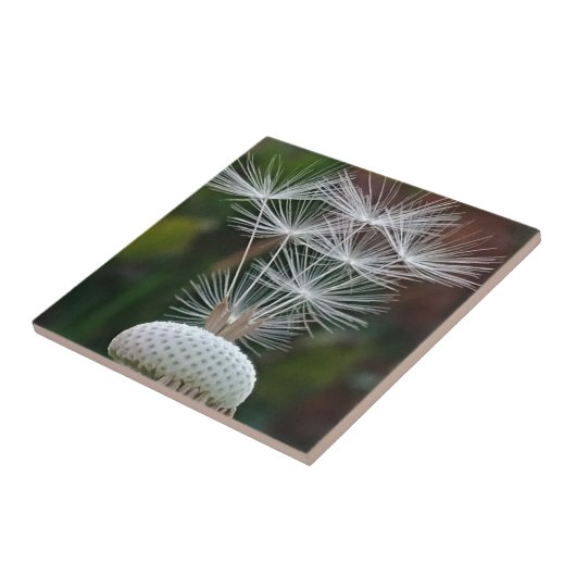 Delicate Dandelion Seeds タイル (側面)