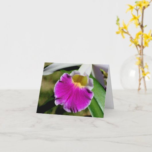 Delicate Orchid Flower Photography Note カード (黄色い花)