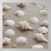 Delicate Seashells Beach Serenity ポスター (正面)