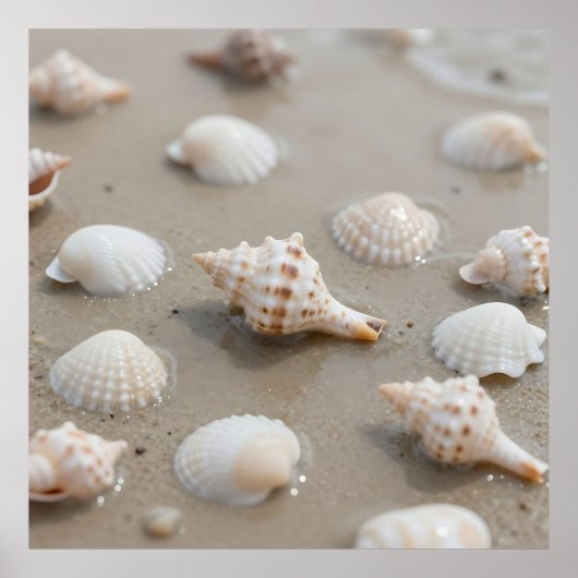 Delicate Seashells Beach Serenity ポスター (正面)