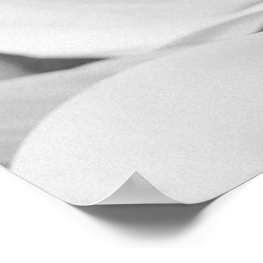 Delicate Vellum Transparency Black White Initials ポスター (角)