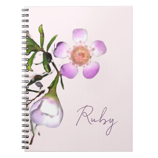 Delicate Wax Flower Bloom ノートブック (正面)