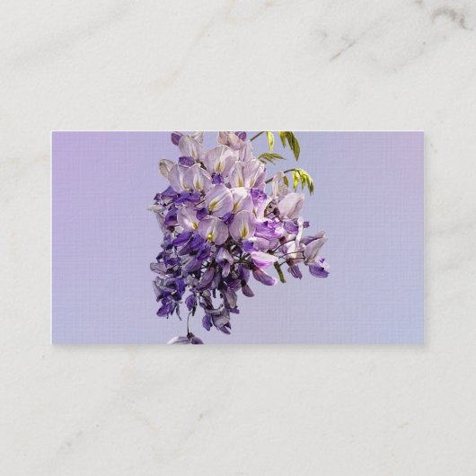 Delicate Wisteria 名刺 (裏面)