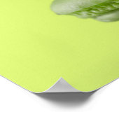 Deliciously colorful maccaroons ポスター (角)