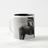 Delireに乗っているレフ・トルストイ ツートーンマグカップ (正面左)