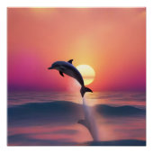 DELPHIN ポスター (正面)