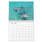 Delphin Kalender カレンダー (1月 2027)
