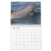 Delphin Kalender カレンダー (3月 2027)