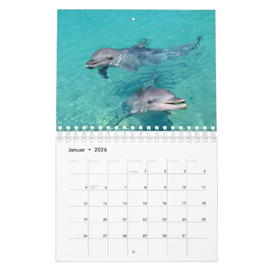 Delphin Kalender カレンダー (1月 2026)