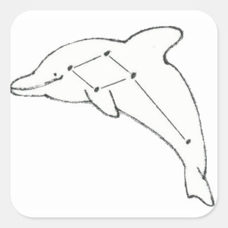 DelphinusAirwaysのステッカー スクエアシール