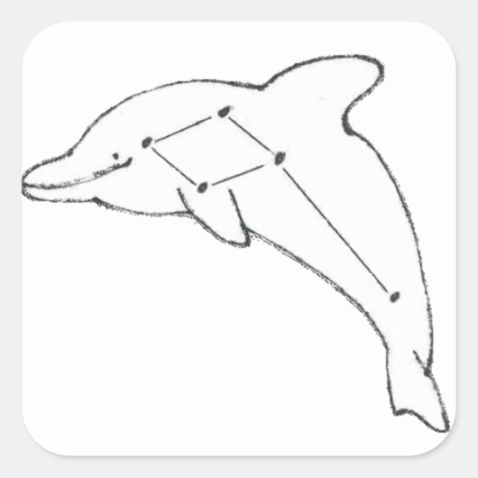 DelphinusAirwaysのステッカー スクエアシール (正面)