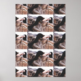 Demi Lowe In Colorado Poster 2 ポスター