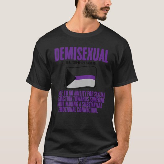 Demisexual Pride Flag Definition Tシャツ (正面)