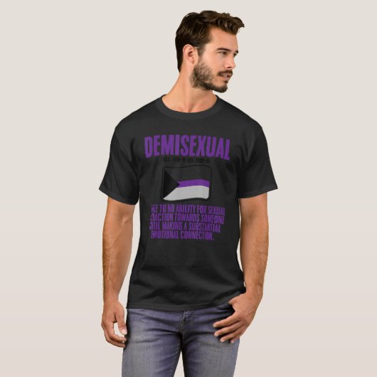 Demisexual Pride Flag Definition Tシャツ (正面フル)