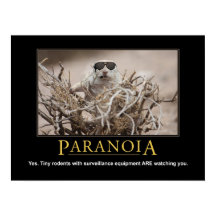 Demotivational Squirrelのポスター： Paranoia