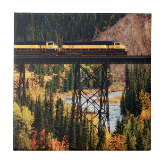 Denaliの国立公園およびジャム米国アラスカ タイル (正面)