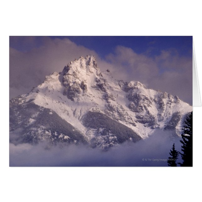 Denaliの山地、アラスカ (正面横)