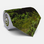 Denaliネックタイの旋回美しい ネクタイ (ロール)