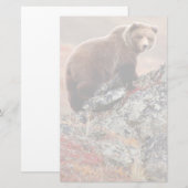 Denaliヒグマ 便箋 (正面/裏面)