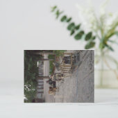 Denali、アラスカのそり犬のチーム ポストカード (スタンド正面)