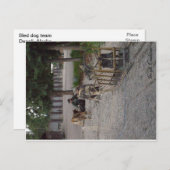 Denali、アラスカのそり犬のチーム ポストカード (正面/裏面)