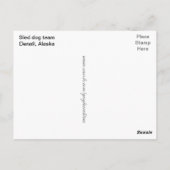 Denali、アラスカのそり犬のチーム ポストカード (裏面)