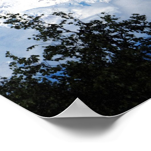 Denali Alaska Mountain Snow写真 ポスター (角)