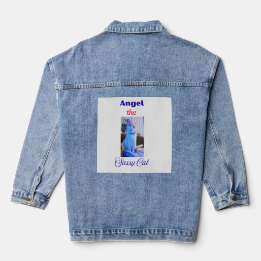 Denim Jacket デニムジャケット (裏面)