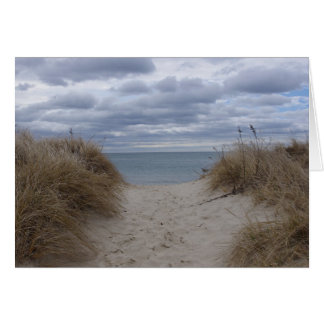 Deniseportのビーチ