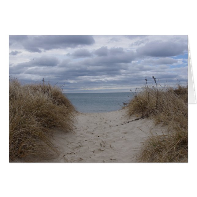 Deniseportのビーチ (正面横)