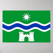 Denny flag ポスター (正面)