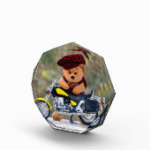 Derバイクもしくは自転車に乗る人 – テディ –  フォトブロック (右)
