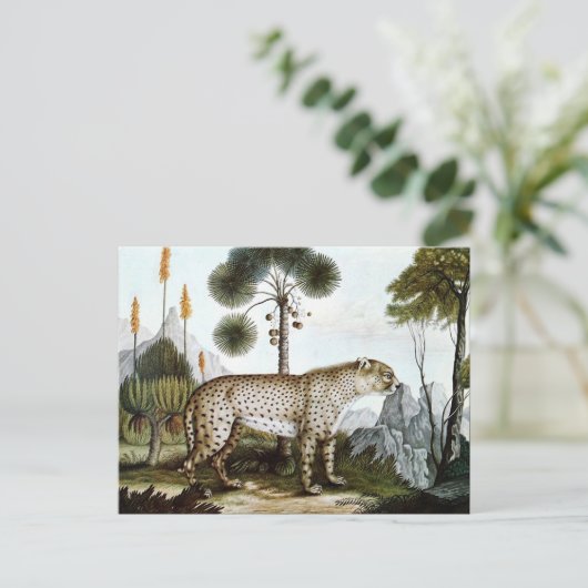 Der GepardまたはCheetah (1886) ポストカード (スタンド正面)