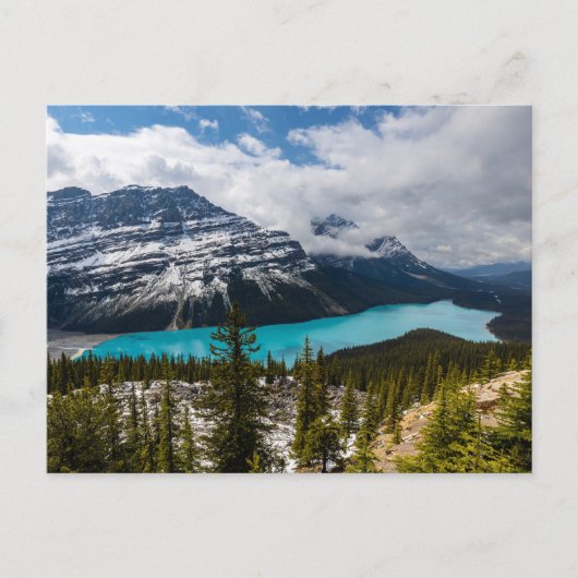 Der Lake Peyto in den Rocky Mountains ポストカード (正面)