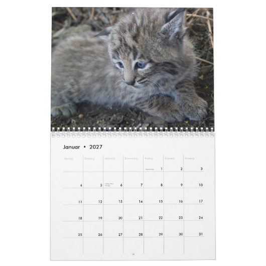 Der Luchs カレンダー (1月 2027)