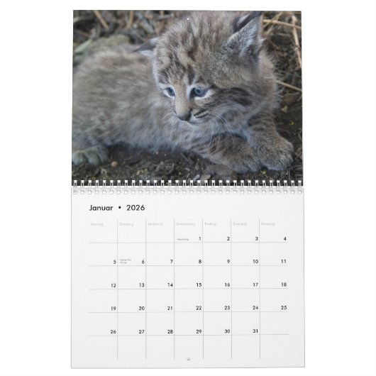 Der Luchs カレンダー (1月 2026)